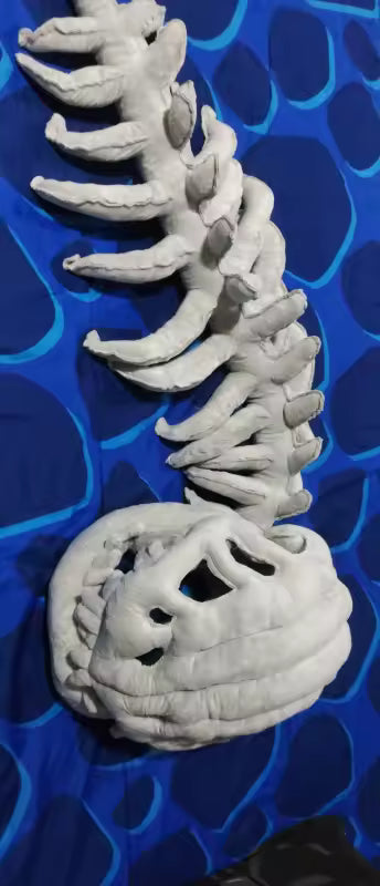 <em>Tamara Zapata</em>